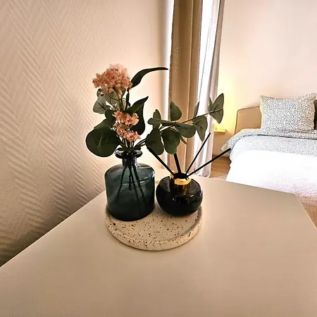 Cosy- Hyper Centre Appartement