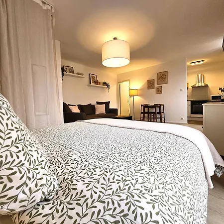 Appartement Cosy- Hyper Centre Colmar