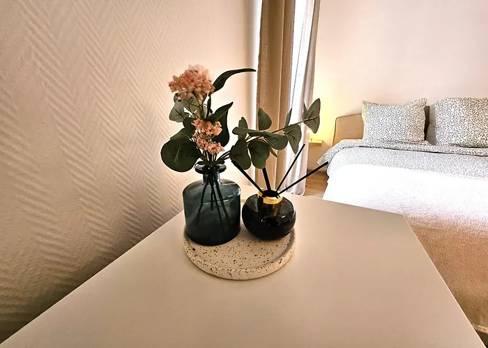 Cosy- Hyper Centre Appartement