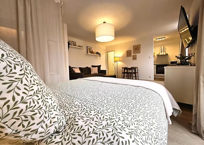 Appartement Cosy- Hyper Centre Colmar